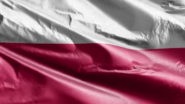 Polonya Tekstil Bayrağı Rüzgarda Sallanıyor Polonya Bayrağı Rüzgarda Sallanıyor Kumaş — Stok video