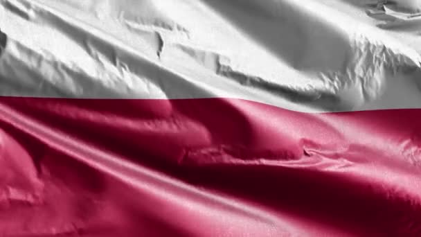 폴란드 깃발은 루프에서 천천히 흔들고 있습니다 폴란드 의현은 바람에 부드럽게 — 비디오