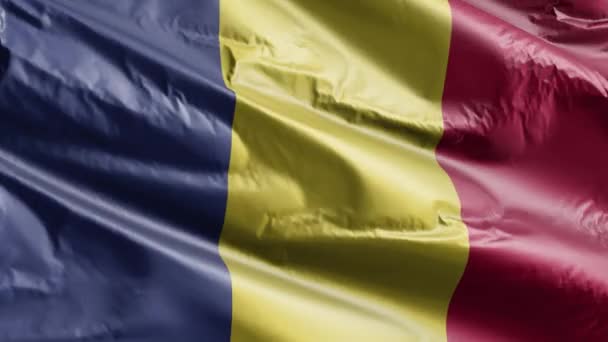 Rumänien Flagga Långsam Vinka Vindslingan Rumänska Fana Svänger Smidigt Brisen — Stockvideo