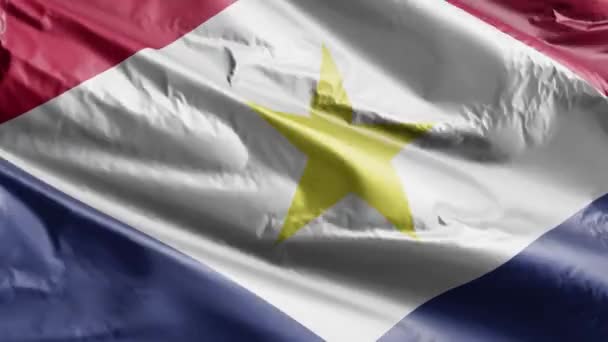 Saba Flag Waving Wind Loop Saba Banner Swaying Breeze Full — Stock Video