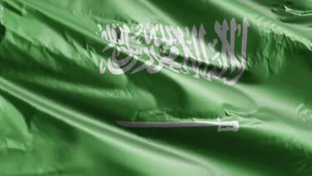 サウジアラビアの国旗が風の輪を振っている サウジアラビアの旗が風に揺れる 完全充填の背景 10秒ループ — ストック動画