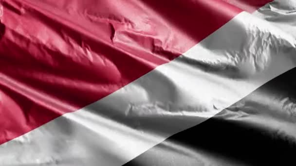 Furstendömet Sealand Textilflagga Viftar Vindslingan Furstendömet Sealands Flagga Svajar Vinden — Stockvideo