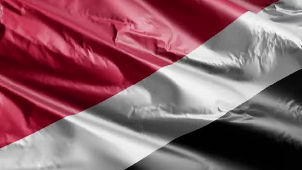 Principiality Sealand Flag Waving Wind Loop Principiality Sealand Banner Swaying — Stock Video