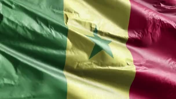 Bandeira Têxtil Senegal Acenando Circuito Vento Bandeira Senegalesa Balançando Brisa — Vídeo de Stock