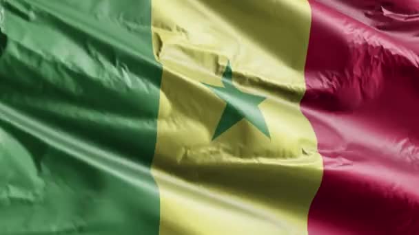 Senegalese Vlag Wappert Windlus Senegalese Spandoek Zwaaiend Wind Volledige Vulling — Stockvideo