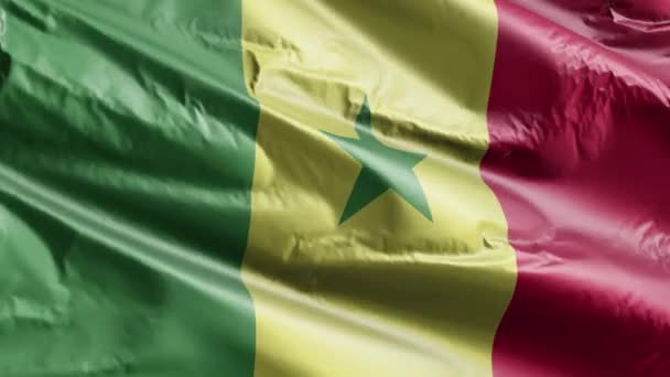 Сенегал Медленно Махал Флагом Ветровой Петле Сенегальский Баннер Плавно Раскачивается — стоковое видео