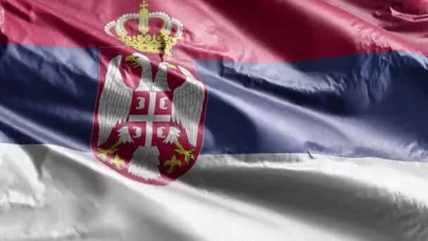 セルビアの繊維旗が風になびいている 風に揺れるセルビアの旗 繊維組織だ 完全充填の背景 10秒ループ — ストック動画