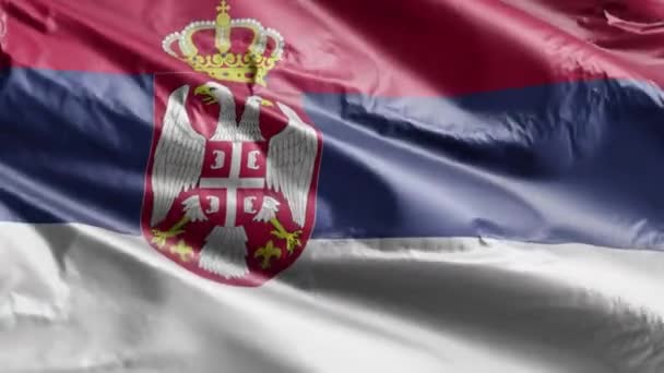 Serbia Flag Waving Wind Loop Serbian Banner Swaying Breeze Full — Stock Video