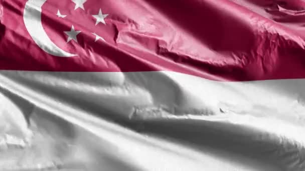 新加坡的纺织品国旗在风环上飘扬 新加坡国旗在微风中飘扬 织物织物织物组织 完整的背景 10秒回圈 — 图库视频影像