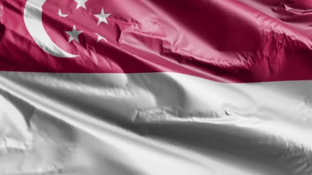 新加坡国旗在风向上缓缓飘扬 新加坡国旗在微风中飘扬 完整的背景 20秒回圈 — 图库视频影像