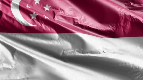 Сингапурский Текстильный Флаг Медленно Машет Петле Ветра Сингапурское Знамя Плавно — стоковое видео