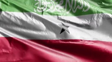 Rüzgarda sallanan Somaliland tekstil bayrağı. Somaliland bayrağı rüzgarda sallanıyor. Kumaş dokular. Tam dolgu arkaplanı. 10 saniye döngü. 