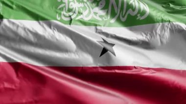 Rüzgarda sallanan Somaliland bayrağı. Somaliland bayrağı rüzgarda sallanıyor. Tam dolgu arkaplanı. 10 saniye döngü. 