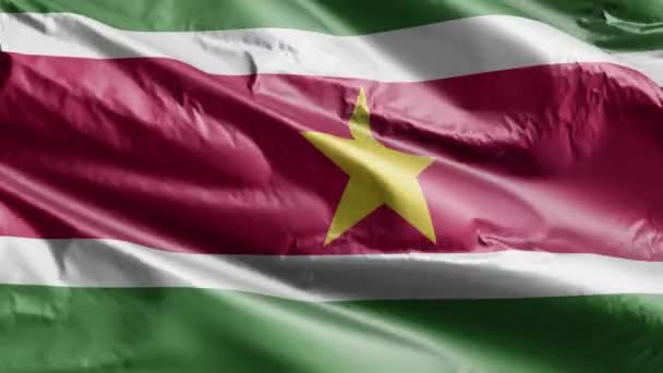 Suriname Zászló Lengett Szél Hurkon Surinami Zászló Lengett Szélben Teljes — Stock videók