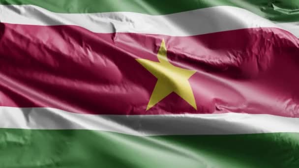 Suriname Flag Slow Waving Wind Loop Surinamese Banner Smoothly Swaying — Stock Video