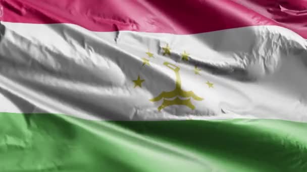 塔吉克斯坦国旗在风向上飘扬 塔吉克国旗在微风中飘扬 完整的背景 10秒回圈 — 图库视频影像