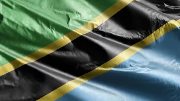 Bandera Textil Tanzania Ondeando Bucle Del Viento Bandera Tanzana Balanceándose — Vídeos de Stock