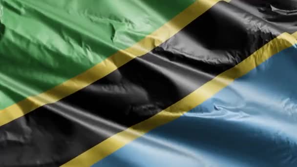 Σημαία Της Τανζανίας Κυματίζει Στον Άνεμο Τανζανική Σημαία Ταλαντεύεται Στο — Αρχείο Βίντεο