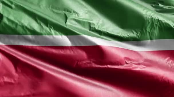 Bandera Textil Tartaristán Ondeando Lazo Del Viento Bandera Tartaristán Balanceándose — Vídeo de stock