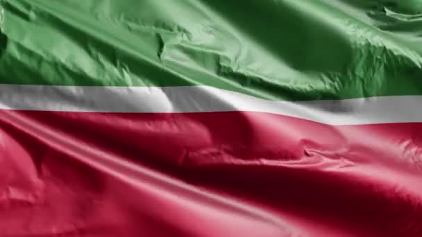 鞑靼斯坦国旗在风环上飘扬 鞑靼斯坦的旗帜在微风中飘扬 完整的背景 10秒回圈 — 图库视频影像