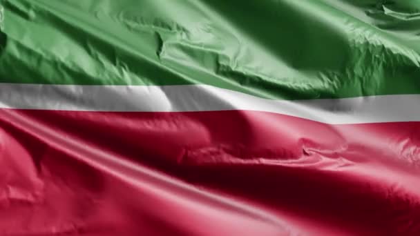 Bandera Tartaristán Ondeando Lentamente Bucle Del Viento Bandera Tartaristán Balanceándose — Vídeos de Stock