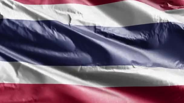 Thailand Textile Flag Waving Wind Loop Thai Banner Swaying Breeze — Stock Video