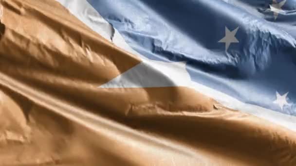 Tierra Del Fuego Provincia Argentina Steag Textil Fluturând Bucla Vântului — Videoclip de stoc
