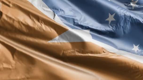 Σημαία Tierra Del Fuego Επαρχία Αργεντινή Κυματίζει Στο Βρόχο Του — Αρχείο Βίντεο