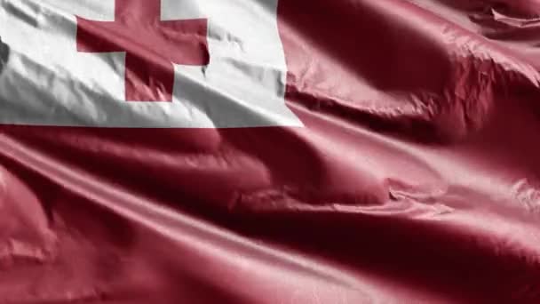 Tonga Textile Flag Waving Wind Loop Tonga Banner Swaying Breeze — Stock Video