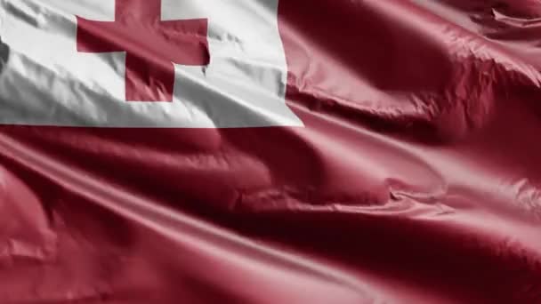 Флаг Тонга Размахивает Петле Ветра Знамя Тонга Раскачивается Ветру Полный — стоковое видео