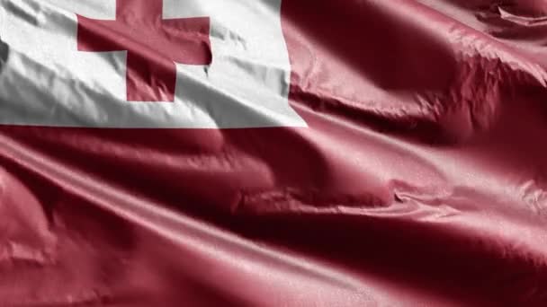 Bandera Textil Tonga Ondeando Lentamente Bucle Del Viento Pancarta Tonga — Vídeo de stock