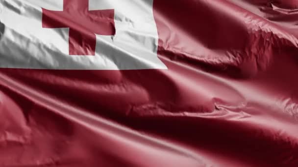 Bandera Tonga Ondeando Lentamente Bucle Del Viento Pancarta Tonga Balanceándose — Vídeo de stock