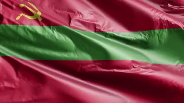 Transnistriens Flagga Viftar Vindslingan Transnistriens Fana Svajar Vinden Full Fyllning — Stockvideo