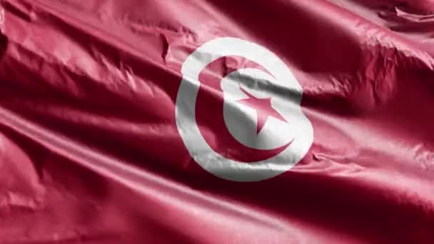 Tunisia Textile Flag Waving Wind Loop Tunisian Banner Swaying Breeze — Stock Video