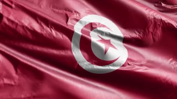 チュニジアの繊維の旗はゆっくりと風の輪に振っている チュニジアのバナーをスムーズに風に揺れる 繊維組織だ 完全充填の背景 20秒ループ — ストック動画