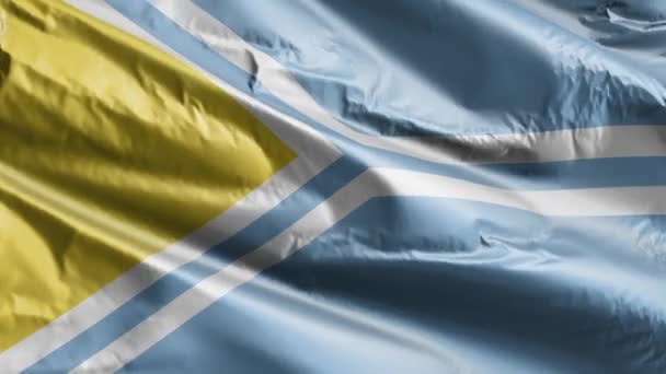 Тувинский Флаг Медленно Машет Петле Ветра Тувинское Знамя Плавно Раскачивается — стоковое видео