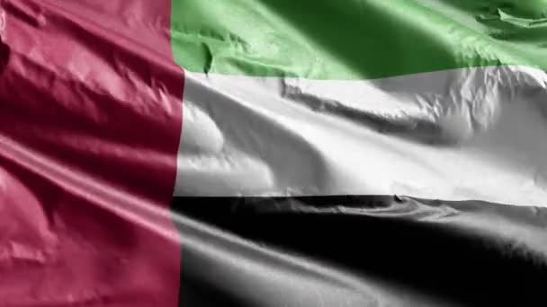 United Arab Emirates Textile Flag Waving Wind Loop United Arab — Stock Video