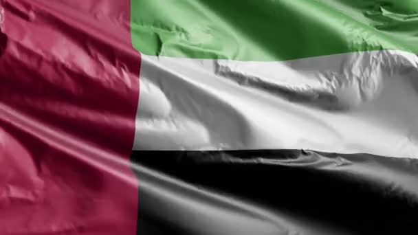 Прапор Єднаних Арабських Еміратів Розмахує Вітровим Петлею Прапор Єднаних Арабських — стокове відео