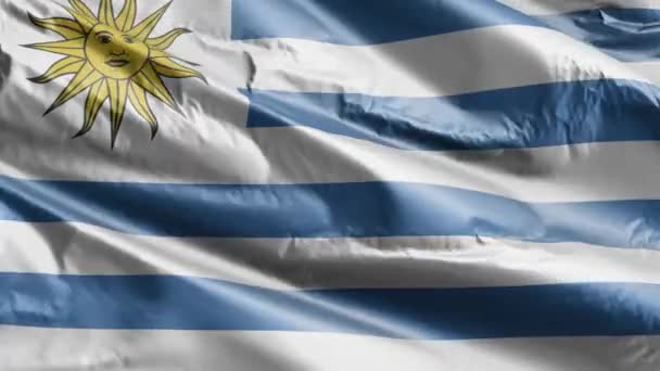 Uruguay Zászló Lengett Szél Hurkon Uruguayi Zászló Lengett Szélben Teljes — Stock videók