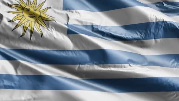 Bandera Uruguay Ondeando Lentamente Bucle Del Viento Bandera Uruguaya Balanceándose — Vídeo de stock