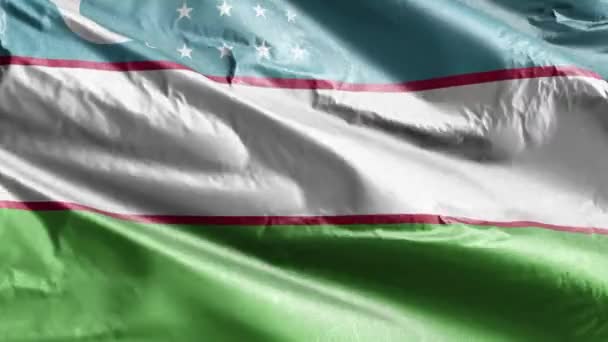 乌兹别克斯坦的纺织品国旗在风向上飘扬 乌兹别克斯坦国旗在微风中飘扬 织物织物织物组织 完整的背景 10秒回圈 — 图库视频影像
