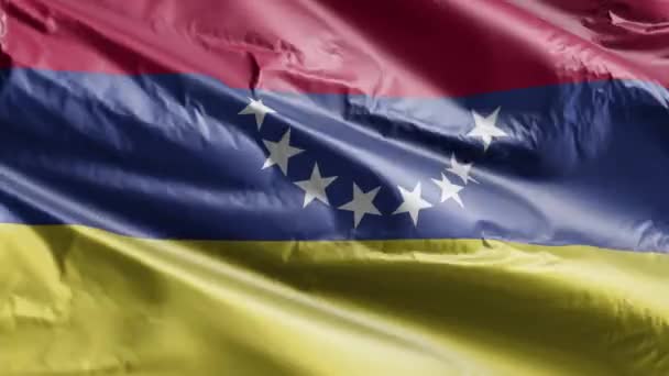 Venezuela Flag Waving Wind Loop Venezuelan Banner Swaying Breeze Full — Stock Video