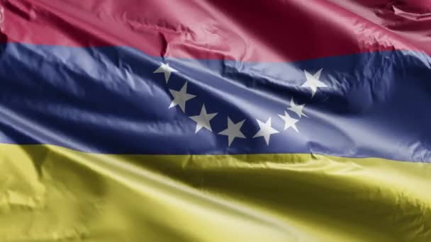 Venezuela Bayrağı Rüzgar Döngüsünde Yavaşça Dalgalanıyor Venezuela Bayrağı Rüzgarda Hafifçe — Stok video