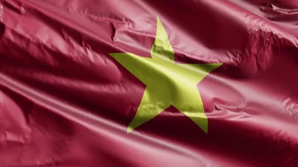 Bandeira Vietnã Lenta Acenando Loop Vento Bandeira Vietnamita Balançando Suavemente — Vídeo de Stock