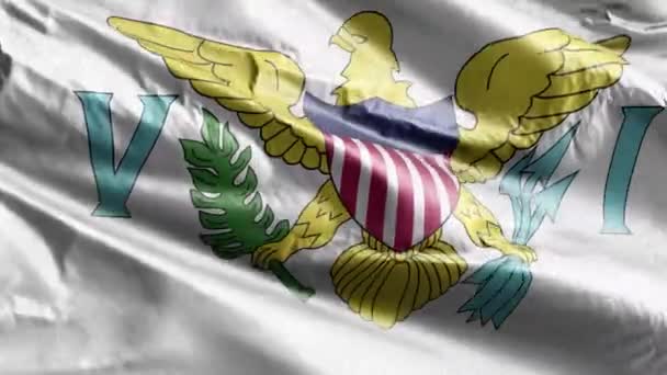 Ilhas Virgens Bandeira Têxtil Dos Eua Acenando Loop Vento Bandeira — Vídeo de Stock