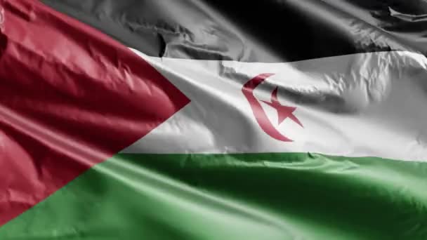 Die Flagge Der Westsahara Weht Auf Der Windschleife Die Westsahara — Stockvideo