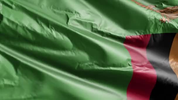 Zambias Flagga Viftar Vindslingan Zambias Fana Svajar Vinden Full Fyllning — Stockvideo