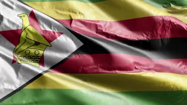 Ζιμπάμπουε Σημαία Κλωστοϋφαντουργίας Κυματίζει Στο Βρόχο Του Ανέμου Σημαία Ζιμπάμπουε — Αρχείο Βίντεο