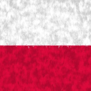 Polonya yağlı boyası. Polonya amblemi tuval çiziyor. Bir ülkenin bayrağının resmi..