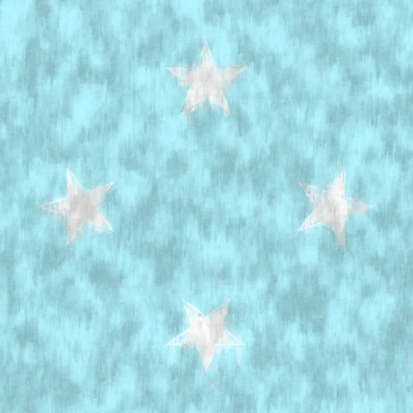 Stati Federati Della Micronesia Pittura Olio Stati Federati Micronesia Emblema — Foto Stock